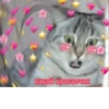 Cute Cats @anime4_arts 13