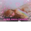 Cute Cats @anime4_arts 14
