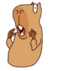 Capybara Boris 5