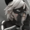 [🐈‍⬛️] ;; chat noir ;; @lumicore_present 10