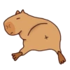 Capybara Boris 6