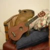 Capybara @MyselfMeandIo 17