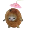 Стики 1735 из @Anonymnyi_chat_bot 14