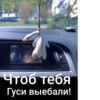 Caldina Club Чита 19