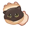 Cats <3 17