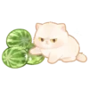Cats <3 18