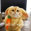 Cute Cats @anime4_arts 17