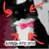 БЛЯДЬ КТО ЭТО И СЕМЬЯ ЮНИКО @holiwix 10