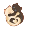 Cats <3 19