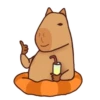 Capybara Boris 8