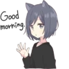 Good morning.
