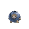 Стики 1735 из @Anonymnyi_chat_bot 19