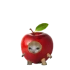 Стики 1735 из @Anonymnyi_chat_bot 20