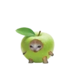 Стики 1735 из @Anonymnyi_chat_bot 21