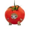 Стики 1735 из @Anonymnyi_chat_bot 22