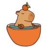 Capybara Boris 9