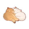 Cats <3 21