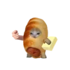 Стики 1735 из @Anonymnyi_chat_bot 24