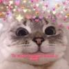 Cute Cats @anime4_arts 20