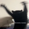 Broken animals 23