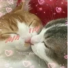 Cute Cats @anime4_arts 21