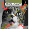 БЛЯДЬ КТО ЭТО И СЕМЬЯ ЮНИКО @holiwix 12