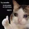 Broken animals 24