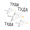 paniс_chaika 23