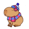 Capybara Boris 11