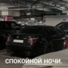 ERJFILKCSO_by_stikers_du_ark_bot 21