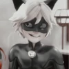 [🐈‍⬛️] ;; chat noir ;; @lumicore_present 19