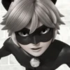 [🐈‍⬛️] ;; chat noir ;; @lumicore_present 20
