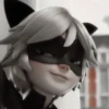 [🐈‍⬛️] ;; chat noir ;; @lumicore_present 24