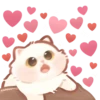 Cats <3 25