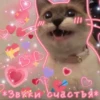 Cute Cats @anime4_arts 27