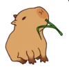 Capybara Boris 12