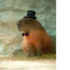 Capybara @MyselfMeandIo 26