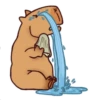 Capybara Boris 13