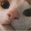 Cute Cats @anime4_arts 30
