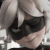 [🐈‍⬛️] ;; chat noir ;; @lumicore_present 28