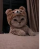 Cats 🌚 :: @fStikBot 28