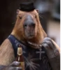 Capybara @MyselfMeandIo 30