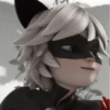 [🐈‍⬛️] ;; chat noir ;; @lumicore_present 29