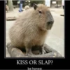 ‣ Capybara :🪨: @jichulan ♡‌ 8
