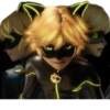 Cat Noir - Miraculous : @Characters_stickers 5