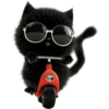 Mishi black 9