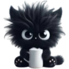 Mishi black 11