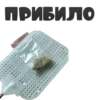 BLACK OPIUM 7