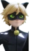 Cat Noir - Miraculous : @Characters_stickers 8