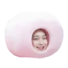 EnHyPeN 10
